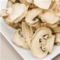 Factory Supply Champignon Mushroom Slices Air Dried Agaricus Bisporus