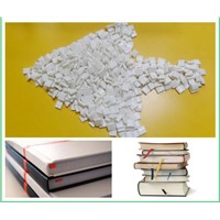 Hot Melt Adhesive for Bookbinding