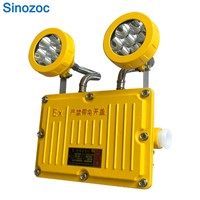 LED Explosion-Proof Emergency Light for Chemical Industry