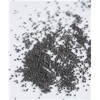 Excellent Quality Raw Basil Seeds