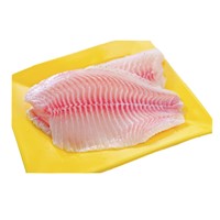 Fresh Frozen Tilapia Fillet from Seafood Supplier