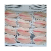 New Catch SeaFood Tilapia Fish Frozen Fillet Supplier