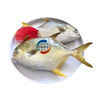 Hot Sell Frozen Golden Pompano Farm Raised Wholesale Fish