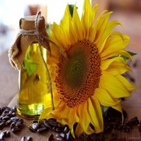 Pure Refined Sunflower Oil Wholesale