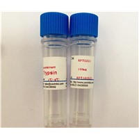 High Purity Recombinant Porcine Trypsin