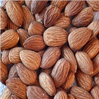 Grade A Almond Nuts / Raw Natural Almond Nuts / Organic