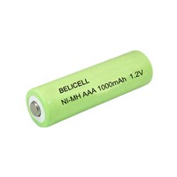 Factory Price AAA Ni-Mh Rechargeable Batteries AAA 1.2V 1000mAh Battery for Toys