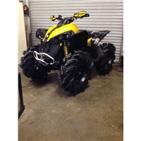 2014 C-Am Renegade 1000 X Xc ATV Four Wheel for Sale