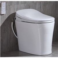 Bathroom/ Warm Heated/Ceramic /Sanitary Ware /Smart /Bidet/ Bowl/ Heated/ Electrical /Automatic /Intelligent/ Wall Hun