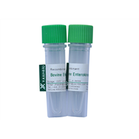 Recombinant Enterokinase, Animal Origin Free