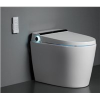 Bathroom/ Seat/ Washlet Ceramic /Sanitary Ware /Smart /Bidet/ Bowl/ Heated/ Electrical /Automatic / Wall Hung/ WC/ Heate