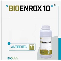BIOENROX 10 in Broiler Hens & Turkeys, Used for the Treatment of Respiratory System & Digestive System Infections Ca