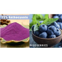 Bilberry 25% Anthocyanin Blueberry Extract