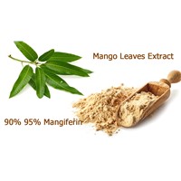 Mango Leaf Extract 90% 95% Mangiferin