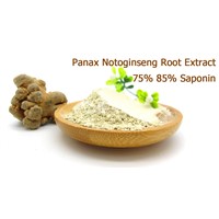 Panax Notoginseng Root Extract 75% 85% Saponin