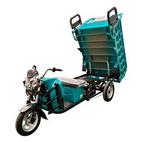 Electric Tricycle for Adults Cargo Transportation
