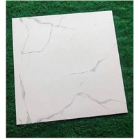 Master Level, Industry the Lowest Price, 600 * 600 Specifications, Long-Term Supply of Various Types of Ceramic Tile