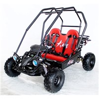 Hot New Model 125cc Go Kart Automatic with Reverse