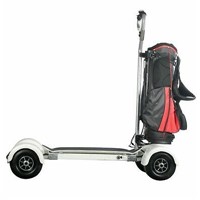 New Arrival 2021 Electric 1000w/60V Skateboard off Road Golf Cart Scooter