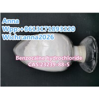 Benzocaine Hydrochloride; Ethyl p-Aminobenzoate Hydrochloride