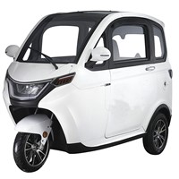 2021 New Arrival Adult Urban Trike L2e EEC Electric Tricycles