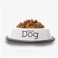 Dog Food Universal 40 Kg Golden Labrador Teddy Samoye Large Adult Puppies 20 Kg
