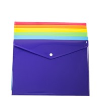 Customized Colorful Clear Hard Plastic Bag A4 Size Plastic File Wallet Folder File Envelopes