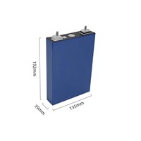 3.2v 100ah Rechargeable Lifepo4 Deep Cycle Prismatic Battery Cell for UPS Storage