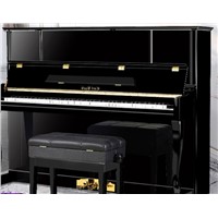 High-Quality Karl Bach T123 in Upright Piano Plays Professional Piano for Beginners.