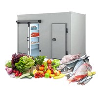 China Factory Mini Chicken Coolroom Chambre Froide Blast Freezer Cold Rooms Portable Cold Storage for Sale