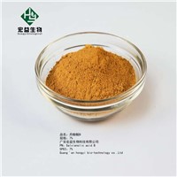 High Quality Salvia Extract Salvianolic Acid B 5%-10% CAS 121521-90-2