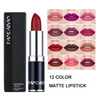 12 Colors Matte Lipstick Tubes Waterproof Long Lasting