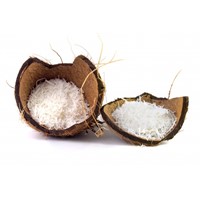 Entend Exports - Desiccated Coconut