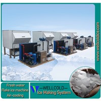 China Energy Saving Stainless Steel Flake Ice Maker Machine 1T 2T 3T Price