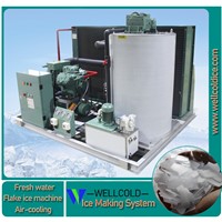 China Good Price Daily Output 3T 5T 8T Air Cooling Flake Ice Machine