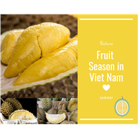 Frozen Durian RI6, Brix 26-28, VIET NAM