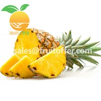 We Are Supplying Pineapple Originally Come from Vietnam with High Quality