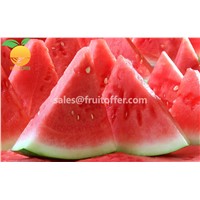 We Are Supplying Water Melon Originally Come from Vietnam with High Quality