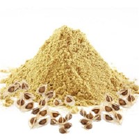 Moringa Seed Cake Powder Suppliers In India