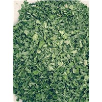 Horse Radish Dried Leaves Suppliers