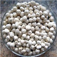 Moringa Kernel Cultivators In India