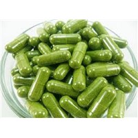 SVM EXPORTS ORGANIC MORINGA CAPSULES