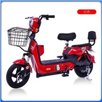 2021 New Electric Bicycle 350W48V12AH Made in China