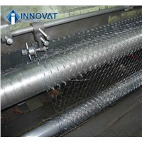 China Cheapest Galvanized Hexagonal Wire Mesh for Chicken & Pets