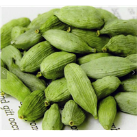 Indian Spice Top Quality Green Cardamom Health Beneficial Controls Diabetes & High Cholesterol