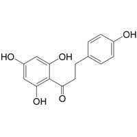 Phloretin CAS NO. 60-82-2 Plant Extract