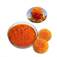 Marigold Extract Lutein 10% 20% 40% Plant Extract Eye Supplement