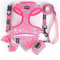 OKEYPETS Suppliers 6 in 1 Pet Accessories Customized Pattern Adjustable Dog Collar Matching Dog Leash &amp;amp; Harness for Wh