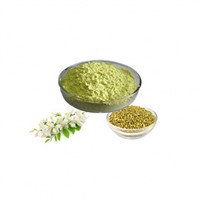 Sophora Japonica Extract Quercetin Rutin Powder 95% for Pharmaceuticals Health Supplement