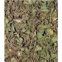 Suppliers of Vallarai-Centella Asiatica Dried Leaves